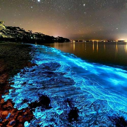  بگو نگن یاکوزا یاکوزا بگن ساکورا ساکورا تاس یو یو